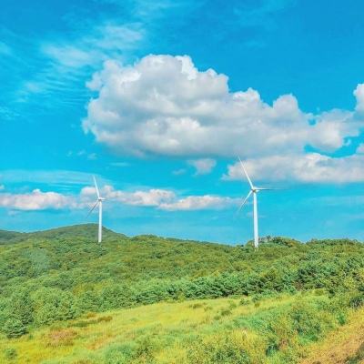仙武灵屿手游官方版下载