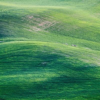 cytoid测试版下载